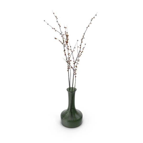 Vase With Branches Of Berries PNG & PSD Images Vase With Branches Of Berries PNG & PSD Images