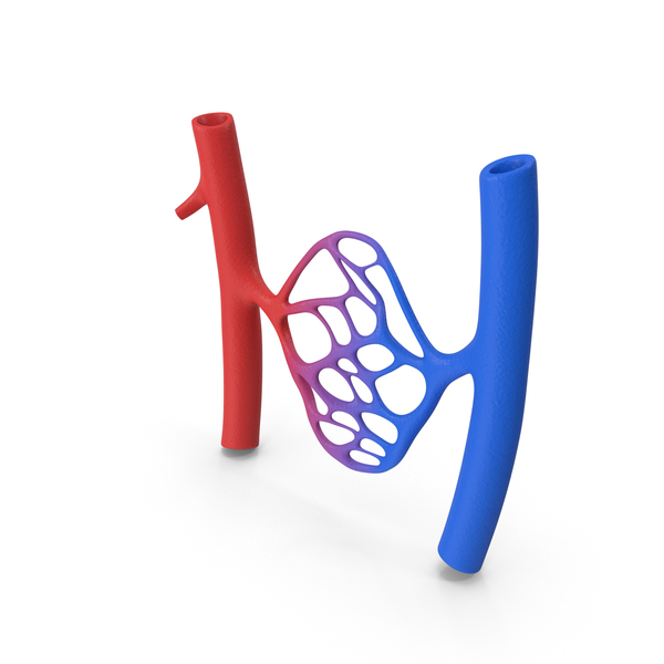 Vein: Veins PNG & PSD Images Vein: Veins PNG & PSD Images