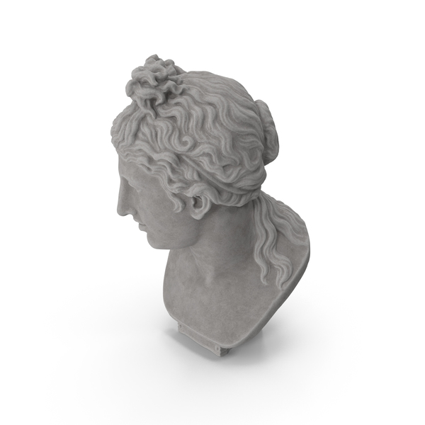 Venus Stone Bust PNG Images & PSDs for Download | PixelSquid - S116777931