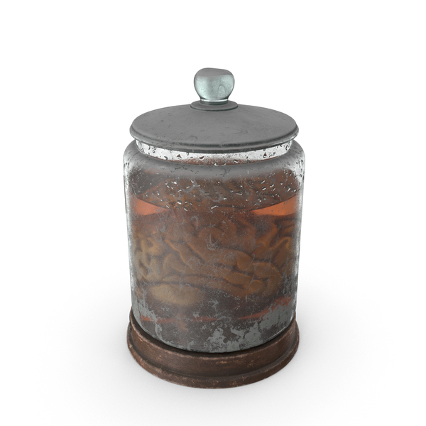 Stem: Vintage Organ Jar Human Brain PNG & PSD Images Stem: Vintage Organ Jar Human Brain PNG & PSD Images