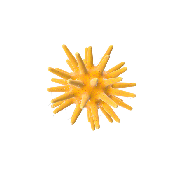 Virus PNG & PSD Images Virus PNG & PSD Images