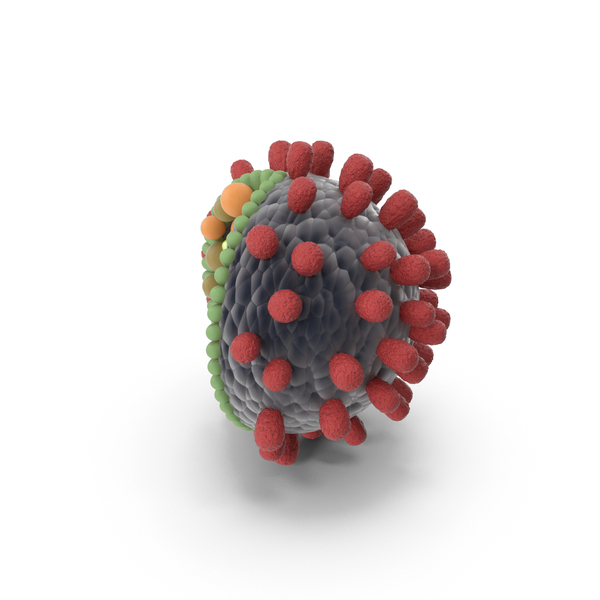 Virus Structure PNG & PSD Images Virus Structure PNG & PSD Images