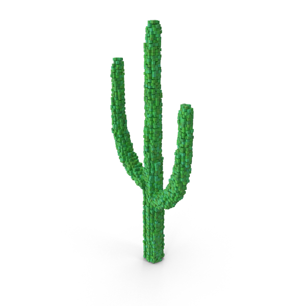 Cartoon: Voxel Cactus PNG & PSD Images Cartoon: Voxel Cactus PNG & PSD Images