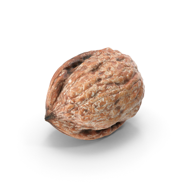 Walnut PNG & PSD Images Walnut PNG & PSD Images