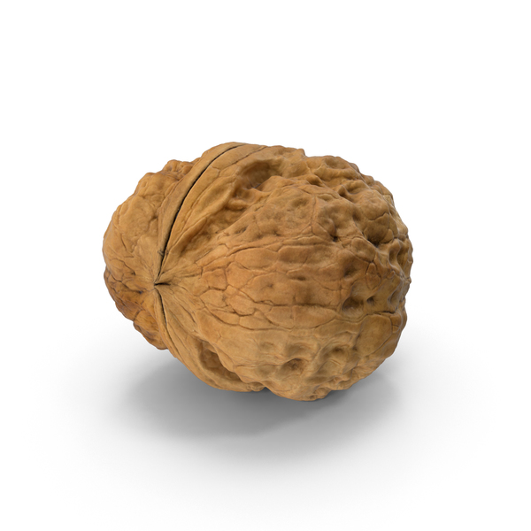 Walnut PNG & PSD Images