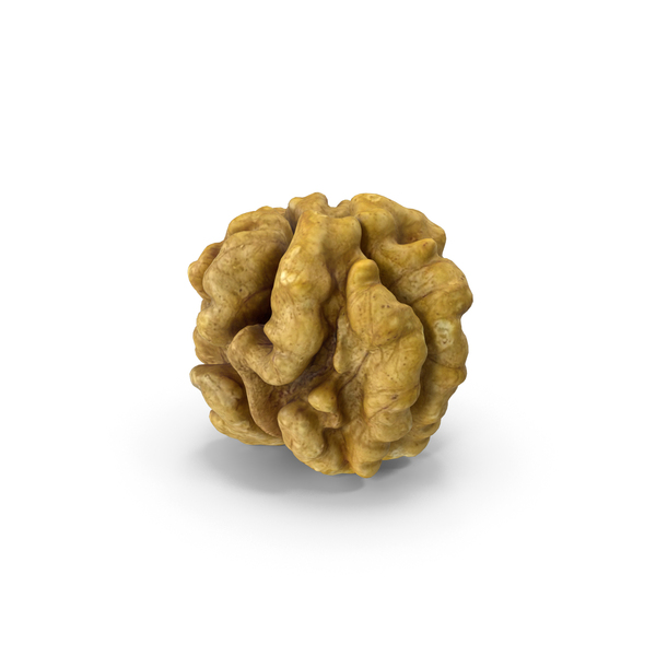 Walnut PNG & PSD Images Walnut PNG & PSD Images