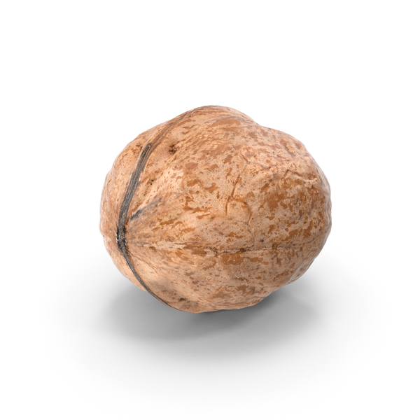 Walnut PNG & PSD Images Walnut PNG & PSD Images
