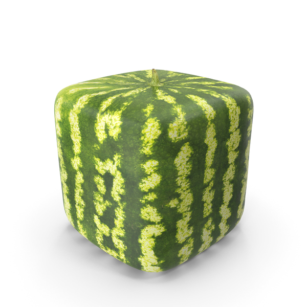 Watermelon Square PNG & PSD Images