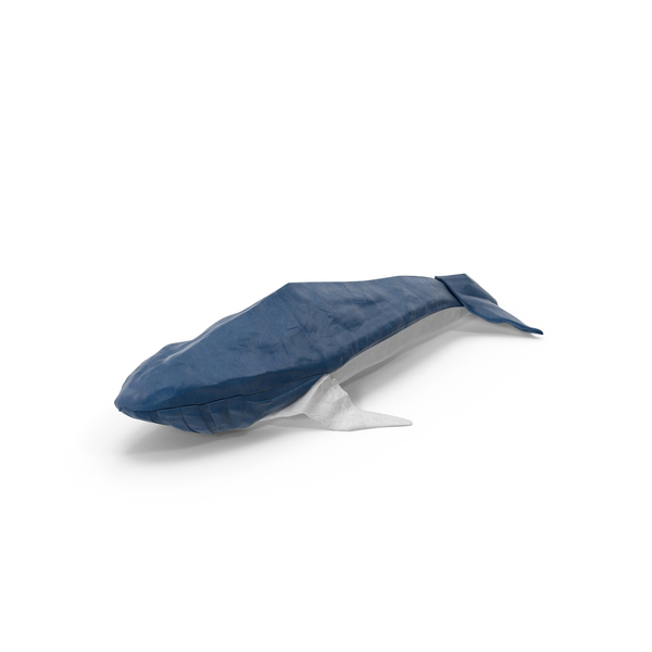 Origami: Whale PNG & PSD Images Origami: Whale PNG & PSD Images