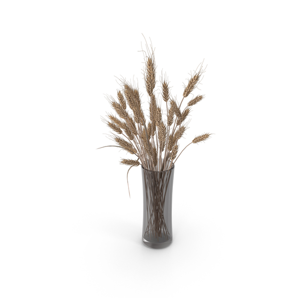 Wheat Spikelets In Glass Vase PNG & PSD Images Wheat Spikelets In Glass Vase PNG & PSD Images