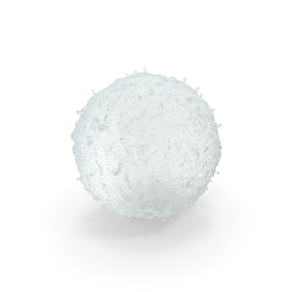 White Animal Cell PNG & PSD Images White Animal Cell PNG & PSD Images