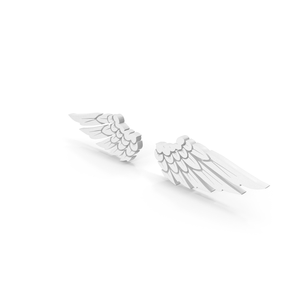 White Bird Wings PNG Images & PSDs for Download | PixelSquid - S117019473