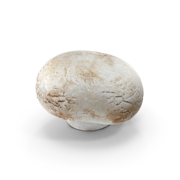 White Button Mushroom PNG & PSD Images White Button Mushroom PNG & PSD Images