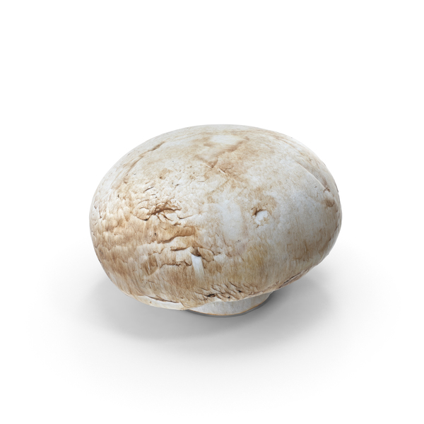 White Button Mushroom PNG & PSD Images White Button Mushroom PNG & PSD Images