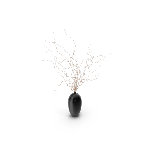 Branch: White Curly Willow Branches In Black Vase PNG & PSD Images Branch: White Curly Willow Branches In Black Vase PNG & PSD Images