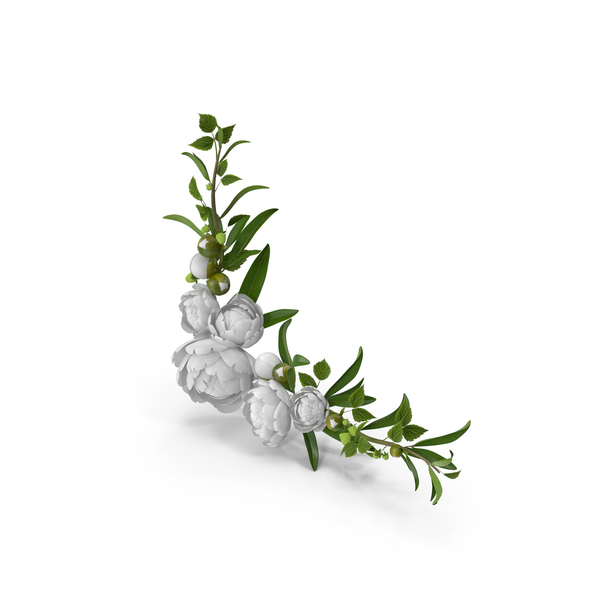 Flowering Plants: White Floral Frame PNG & PSD Images Flowering Plants: White Floral Frame PNG & PSD Images