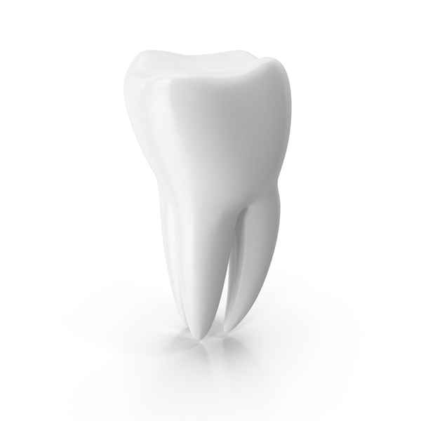 White Molar Teeth PNG & PSD Images White Molar Teeth PNG & PSD Images