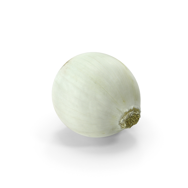 White Onion PNG & PSD Images