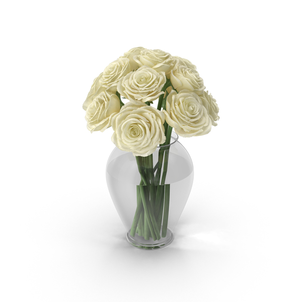 玫瑰：白玫瑰PNG和PSD图像