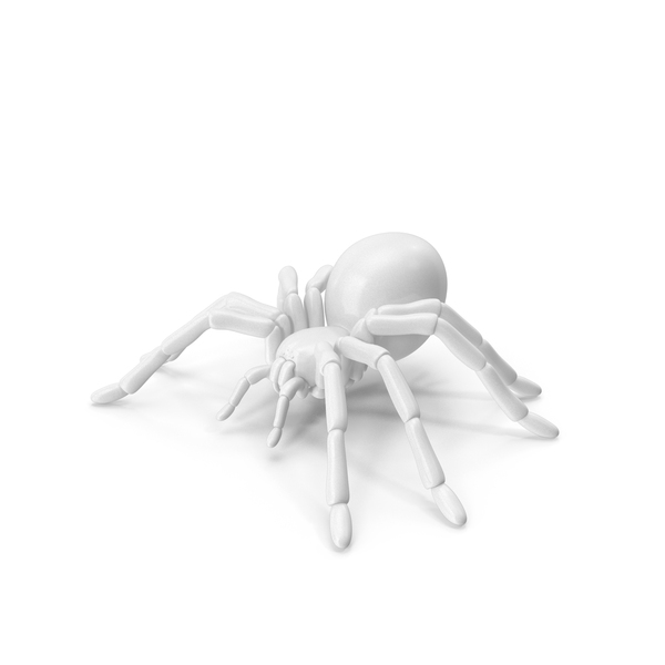White Spider PNG & PSD Images White Spider PNG & PSD Images