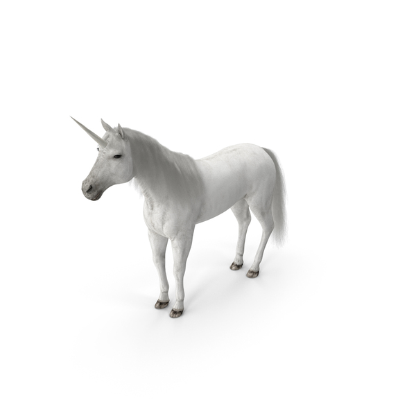 White Unicorn With Fur PNG & PSD Images White Unicorn With Fur PNG & PSD Images