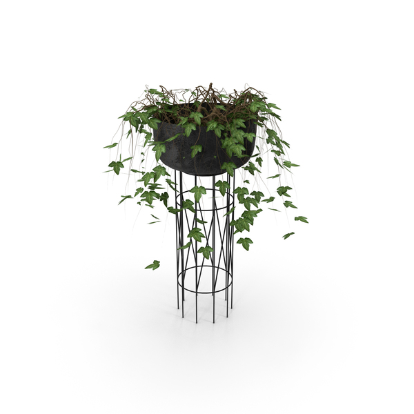 Pot: Wire Metal Basket with Ivy for Decor PNG & PSD Images Pot: Wire Metal Basket with Ivy for Decor PNG & PSD Images