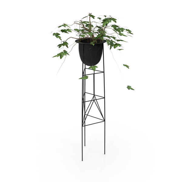 Pot Holder: Wire Metal Basket with Ivy for Decor PNG & PSD Images