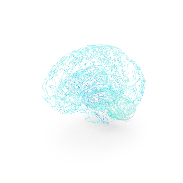 Stem: Wire Model Of The Human Brain PNG & PSD Images Stem: Wire Model Of The Human Brain PNG & PSD Images