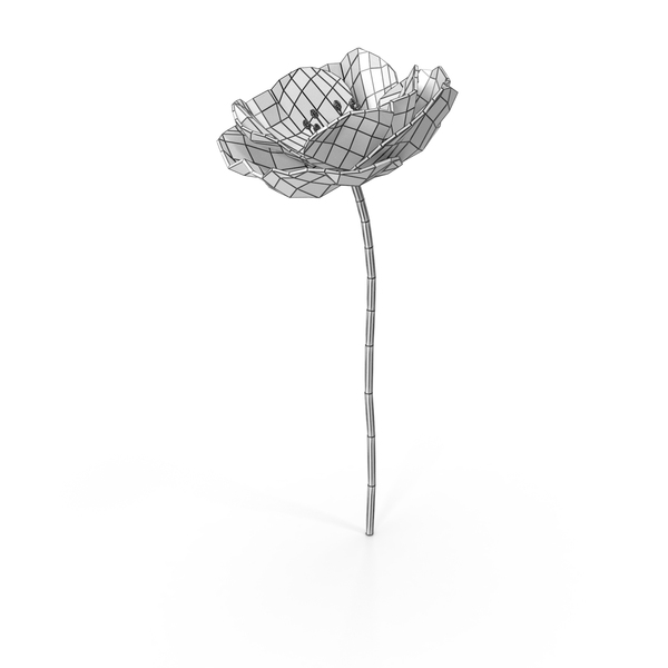 Wireframe Poppy PNG & PSD Images