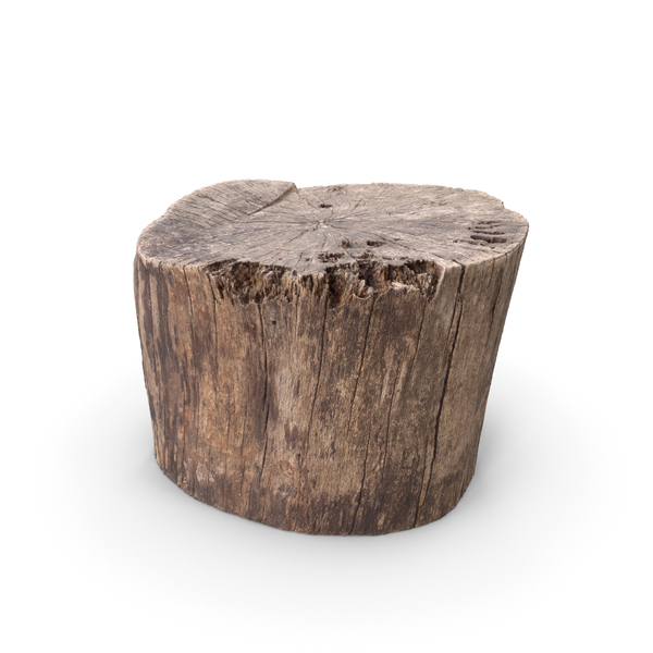 Tree Stump: Wood Log PNG & PSD Images