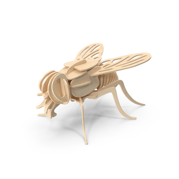 Sculpture: Wooden Buzzy-Wuzzy Busy Fly Construction Kit PNG & PSD Images