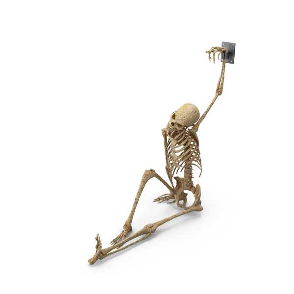 Fighter: Worn Sitting Skeleton With Hand Shackled To Wall PNG & PSD Images