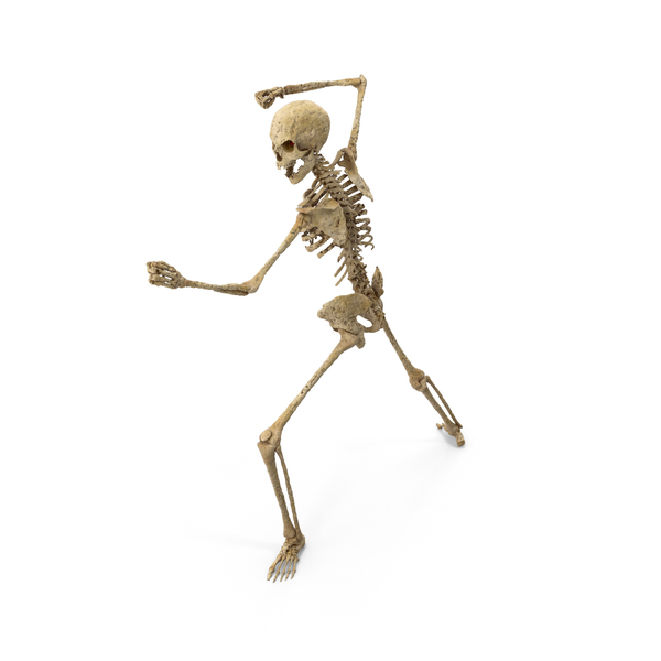 Male: Worn Skeleton Aggressive Fighting Stance PNG & PSD Images