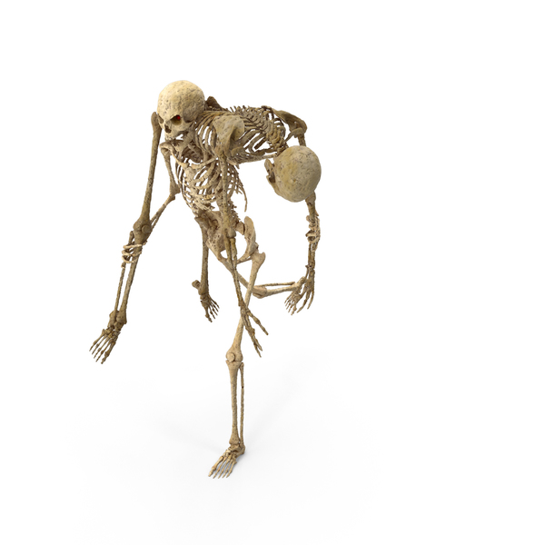 Human: Worn Skeleton Carrying Wounded One PNG & PSD Images