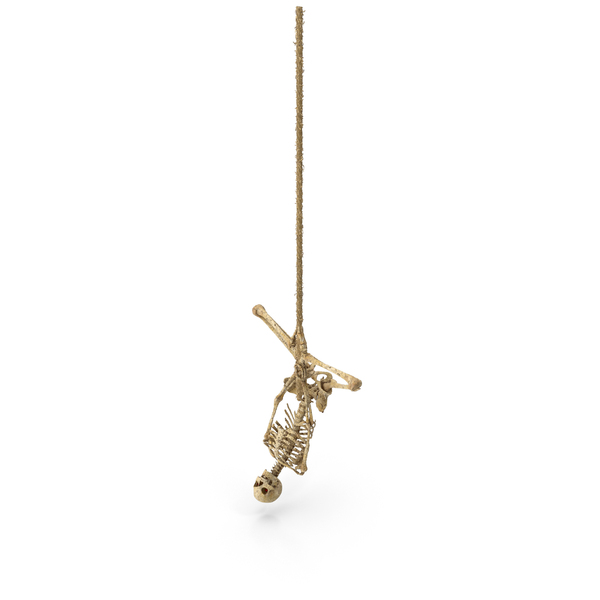 Fighter: Worn Skeleton Hanging Upside Down On A Rope PNG & PSD Images Fighter: Worn Skeleton Hanging Upside Down On A Rope PNG & PSD Images