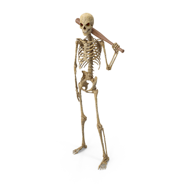 Male: Worn Skeleton Holding a Bat PNG & PSD Images