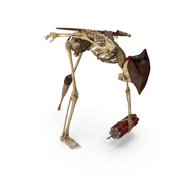 Fighter: Worn Skeleton Pirate Placing A TNT Dynamite Bomb Trap PNG & PSD Images