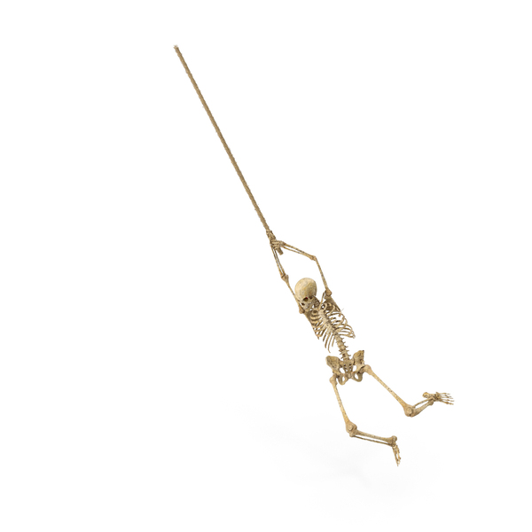 Rope PNG Images & PSDs for Download | PixelSquid