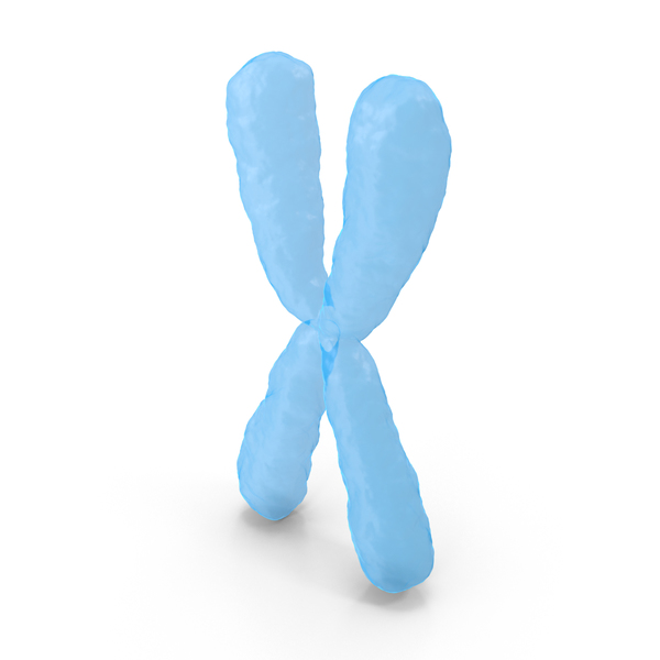 X Chromosome PNG & PSD Images X Chromosome PNG & PSD Images