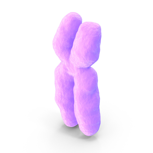 X Chromosome PNG & PSD Images X Chromosome PNG & PSD Images