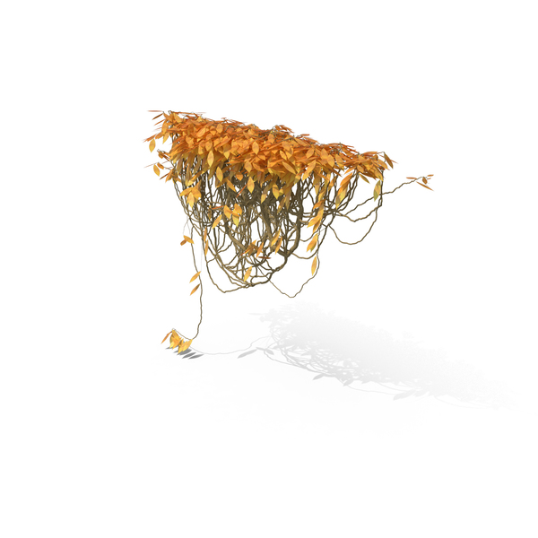 Yellow Ivy PNG & PSD Images Yellow Ivy PNG & PSD Images