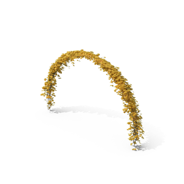Yellow Ivy Arch PNG & PSD Images