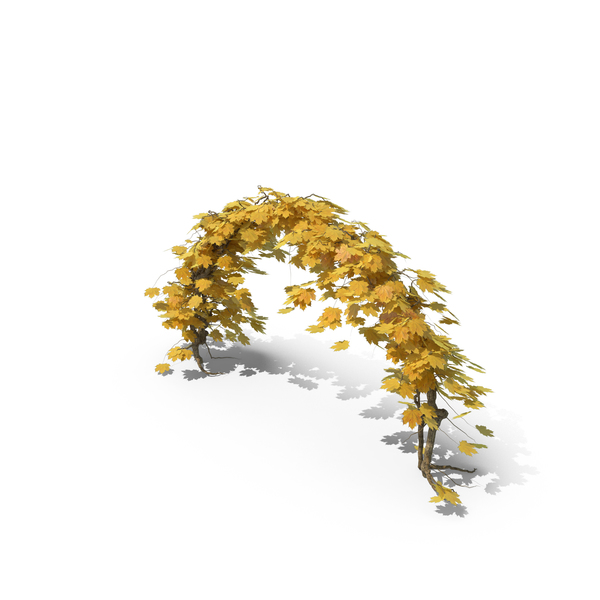 Yellow Ivy Arch PNG & PSD Images Yellow Ivy Arch PNG & PSD Images
