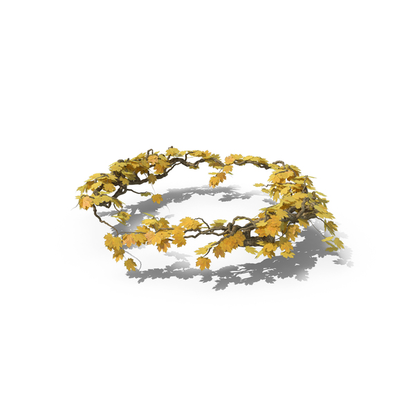 Yellow Ivy Circle PNG & PSD Images Yellow Ivy Circle PNG & PSD Images