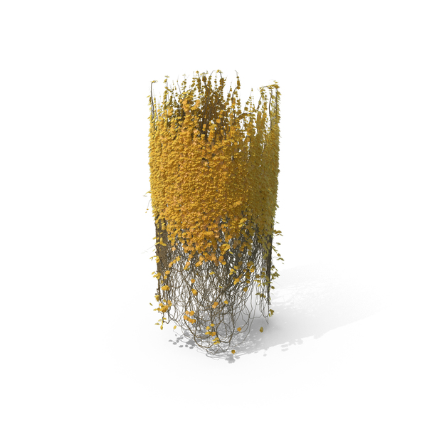 With: Yellow Ivy Column PNG & PSD Images With: Yellow Ivy Column PNG & PSD Images