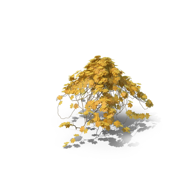 Yellow Ivy Hut Top PNG & PSD Images Yellow Ivy Hut Top PNG & PSD Images