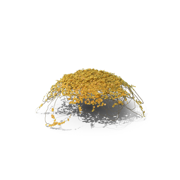 Yellow Ivy Round Top PNG & PSD Images Yellow Ivy Round Top PNG & PSD Images