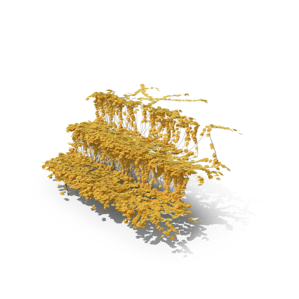 Yellow Ivy Stairs PNG & PSD Images Yellow Ivy Stairs PNG & PSD Images