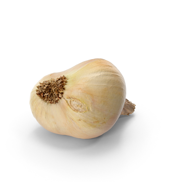 Yellow Onion PNG & PSD Images