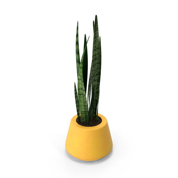 Flower: Yellow Pot With Plants PNG & PSD Images Flower: Yellow Pot With Plants PNG & PSD Images
